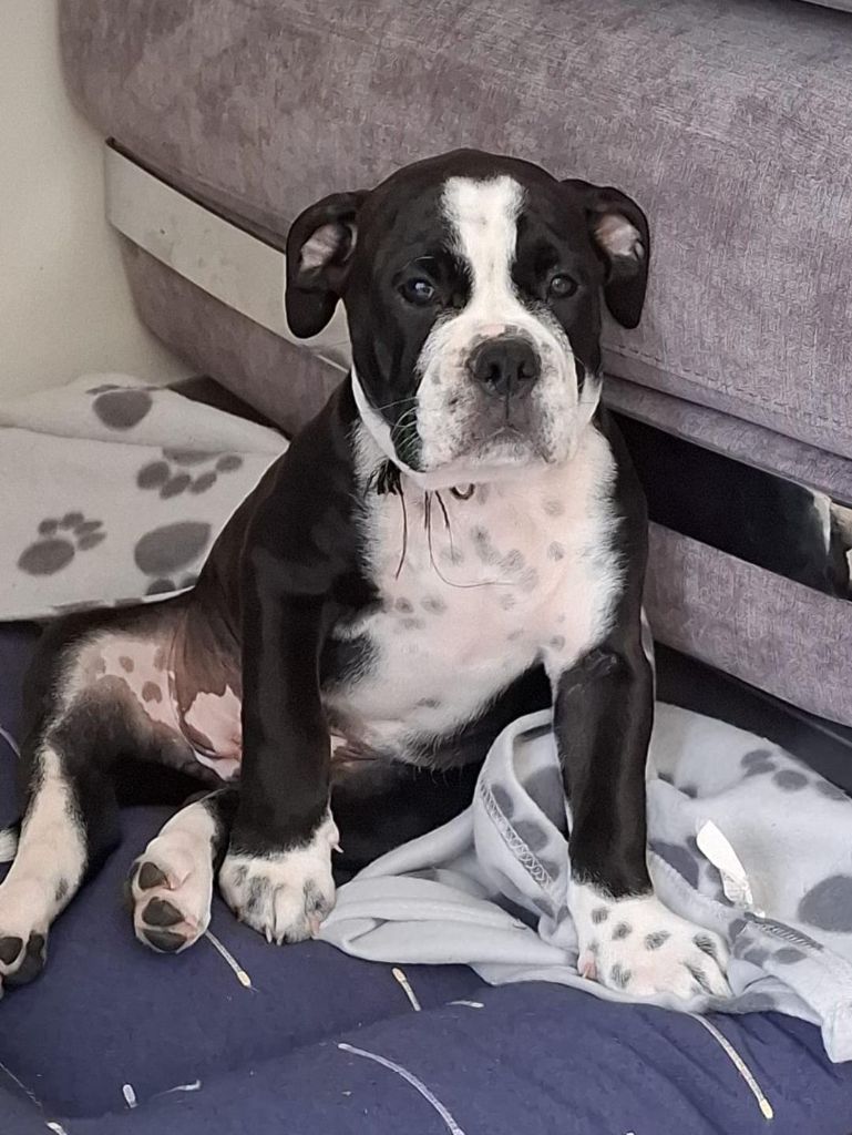 Athena freya De la queue du grill