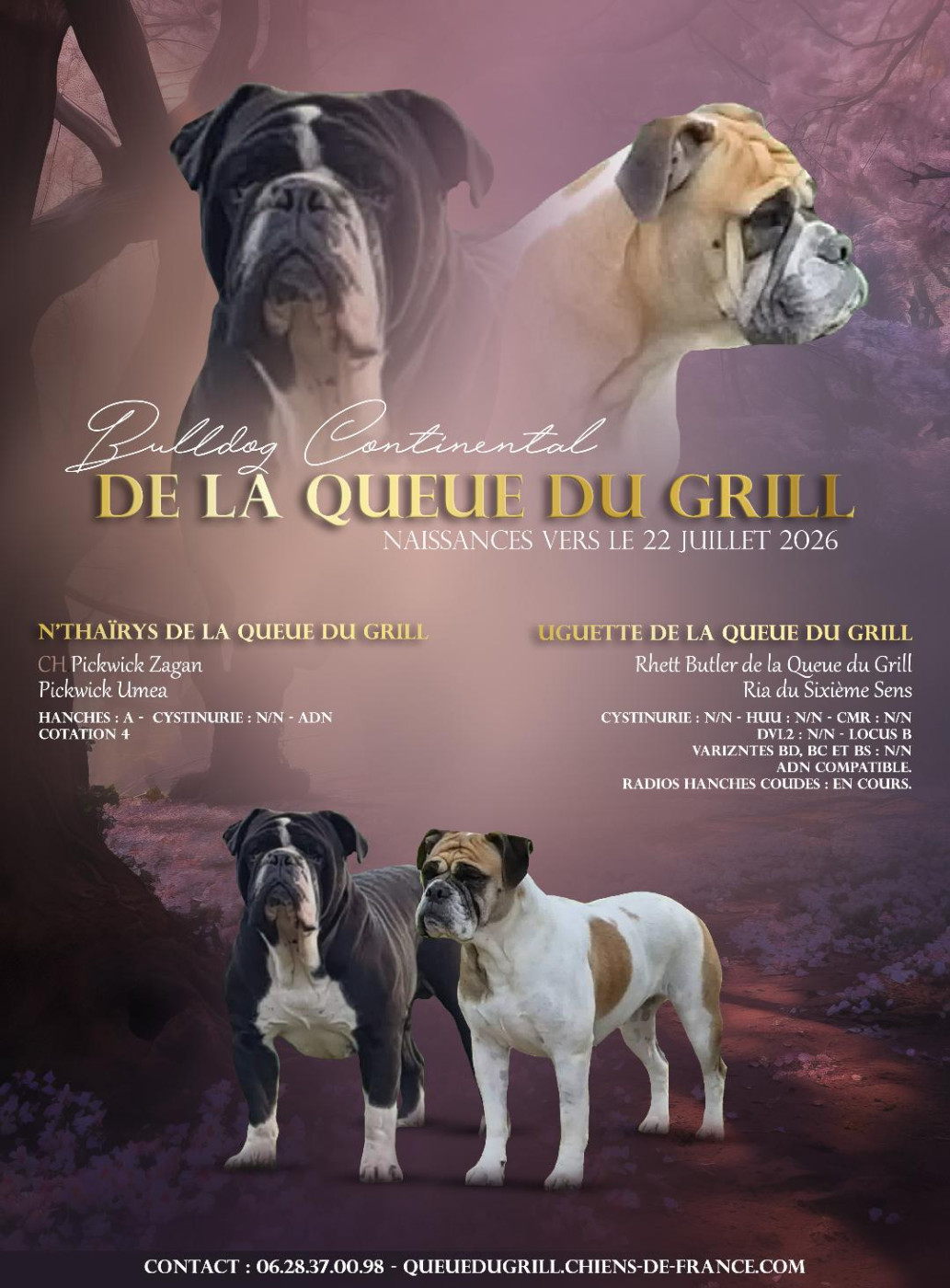 Bientôt des bébés....