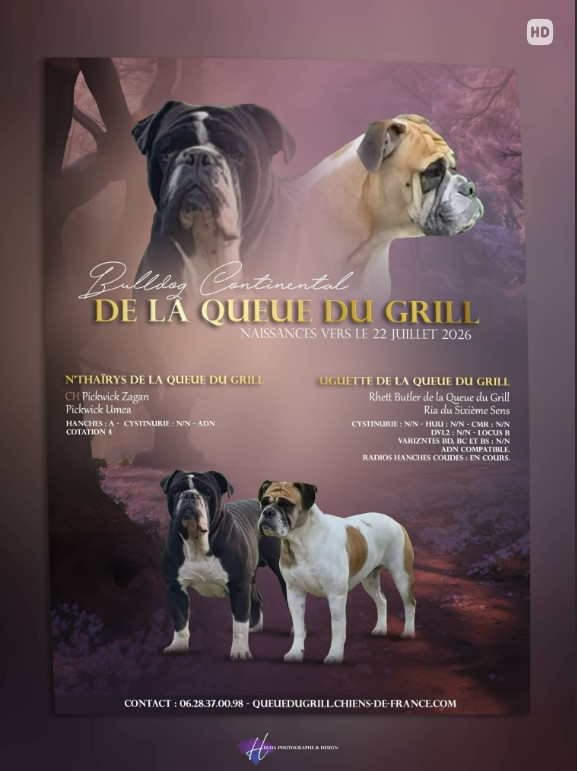 PORTEE DE 13 CHIOTS DE GUEGUETTE ET THAIRYS